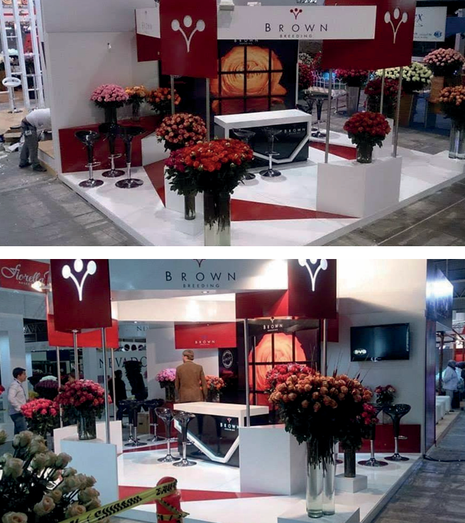 Stand STAND BROWN BREEDING EXPO FLOR QUITO diseñado y construido por PRIMSA